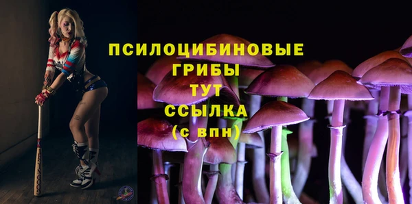 эйфоретик Инта