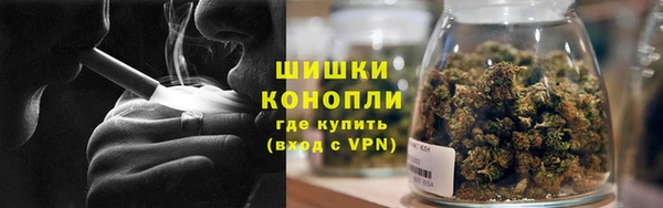эйфоретик Инта