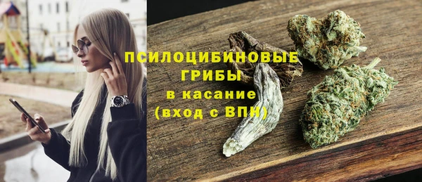 трава Инсар