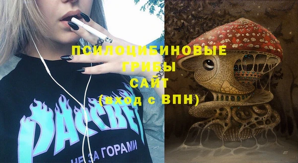 МДПВ Иннополис