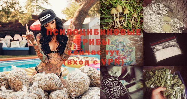 эйфоретик Инта
