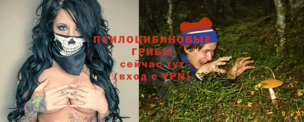 трава Инсар