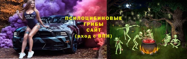 МДПВ Иннополис