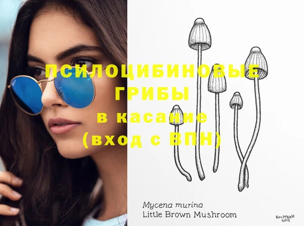 МДПВ Иннополис