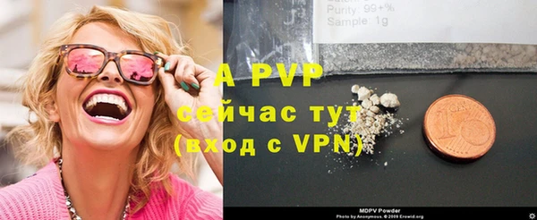 эйфоретик Инта