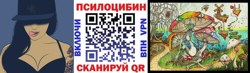 Галлюциногенные грибы мицелий  закладки  Новочебоксарск 