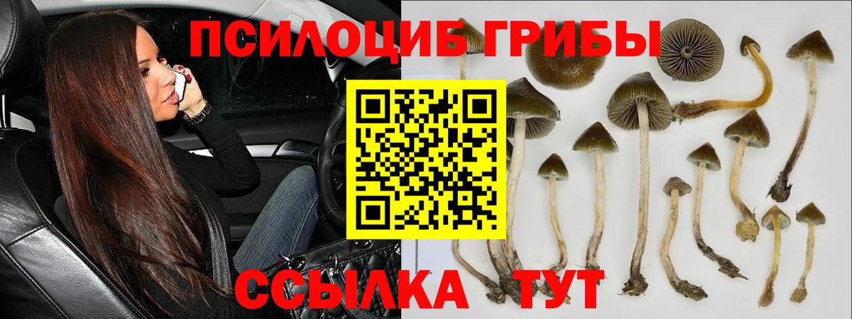 Псилоцибиновые грибы MAGIC MUSHROOMS  Вход с VPN  Новочебоксарск 